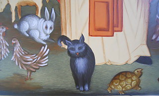 Katze erstes Licht Katze erstes Licht