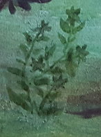 Ikone Detail Blumen (7) Ikone Detail Blumen (7)