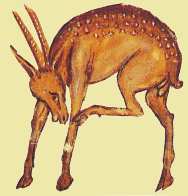 krikri