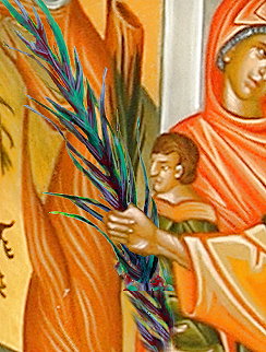 Palme